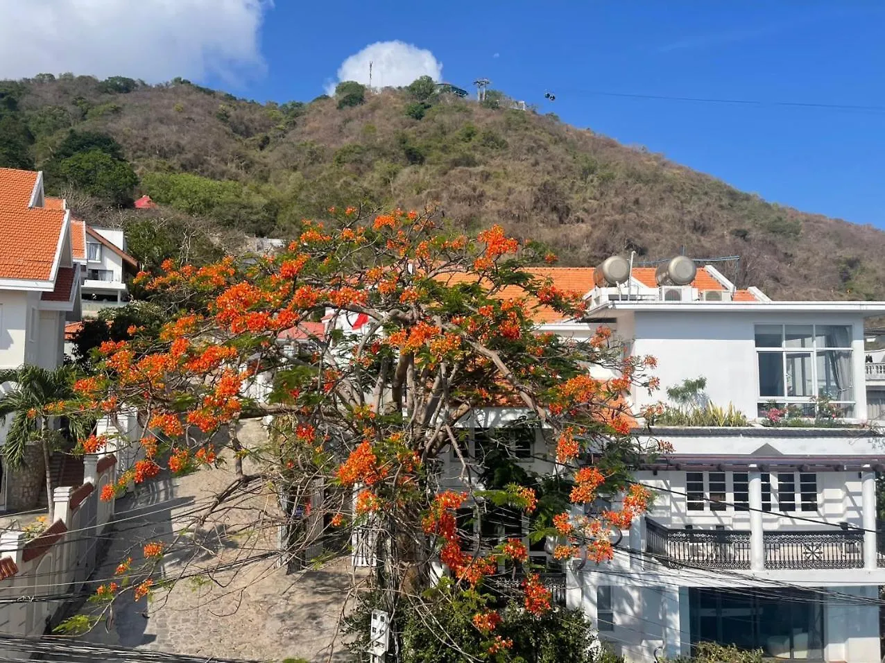 Villa 84 Phan Chu Trinh, Bai Sau Vung Tau Vietnam